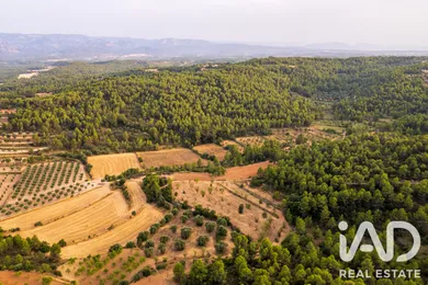 Terreno agricola en Lledó