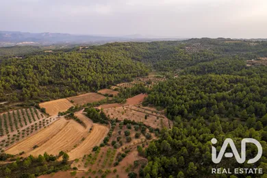 Terreno agricola en Lledó