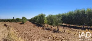 Terrain agricole à Ecija