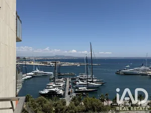 Pis a Palma