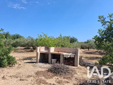Terreny rústic a L'Ampolla