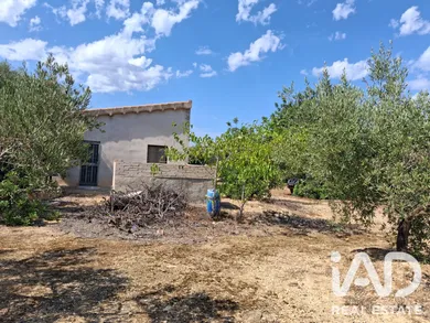 Terreny rústic a L'Ampolla