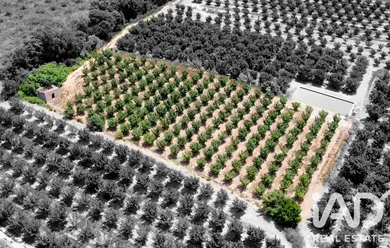 Farm land in Vallmoll