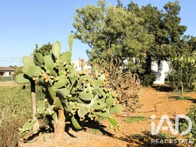 Terreno rústico en Chiclana de la Frontera