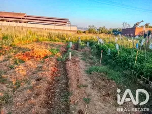Terreno edificable en Patrocinio