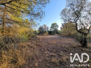 Terreno en Ginestar
