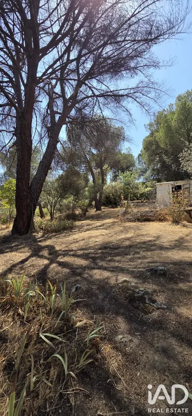 Terreny a San Martín de Valdeiglesias