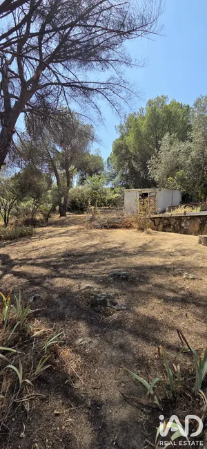 Terreny a San Martín de Valdeiglesias