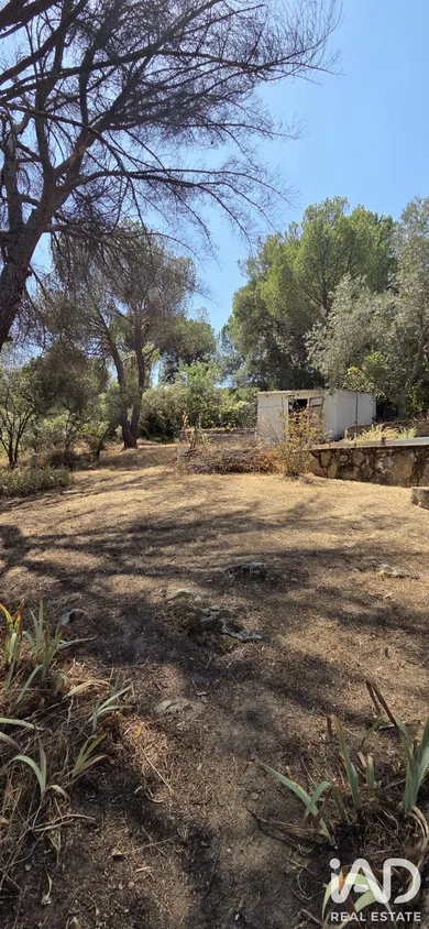 Terreny a San Martín de Valdeiglesias