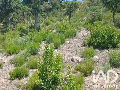 Building plot in Lloret de Mar