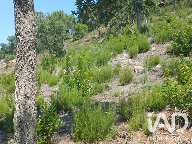 Building plot in Lloret de Mar