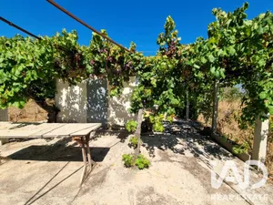 Terreno en Ginestar