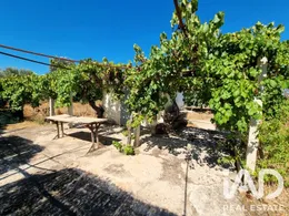 Terreno en Ginestar