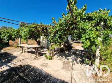 Terreno en Ginestar