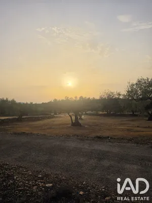 Terreno en El Perelló