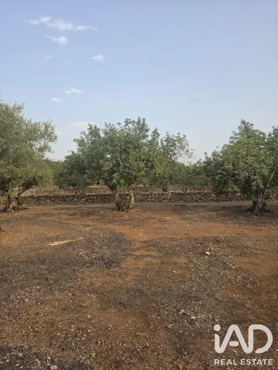 Terreno en El Perelló