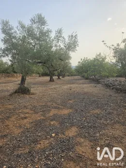 Land in El Perelló