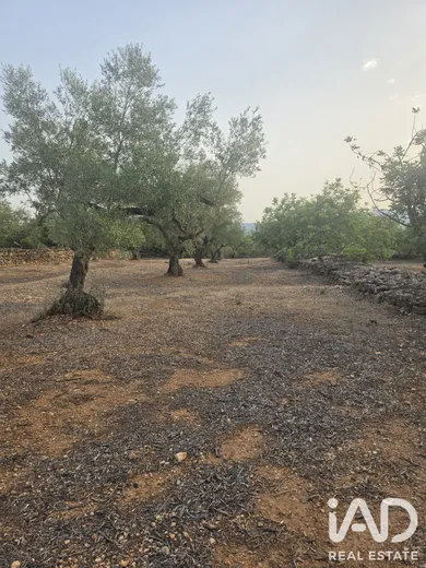 Terreno en El Perelló