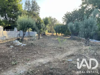 Terreno edificable en Beniarbeig