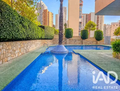 Apartment in Benidorm
