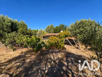 Terreny rústic a Riba-roja d'Ebre