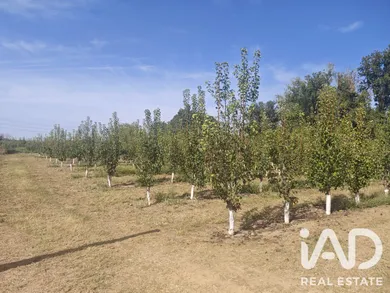 Terreno agricola en ALBATARREC