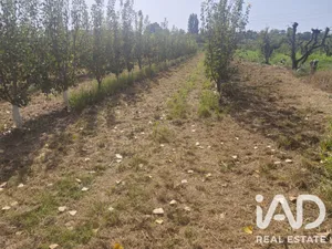 Terreno agricola en ALBATARREC
