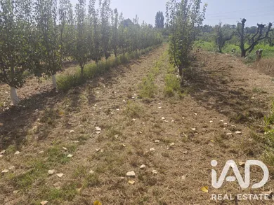 Terreno agricola en ALBATARREC