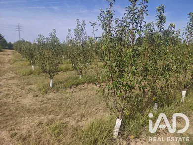 Terreno agricola en ALBATARREC