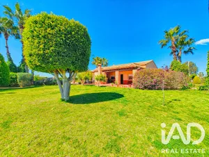 House in Elche