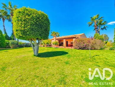 House in Elche