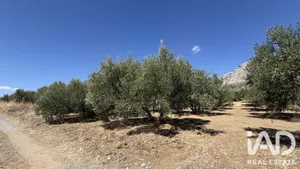 Casa de campo en Colmenar