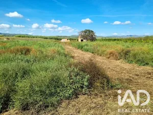 Terreno en Ginestar