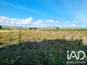 Land in Ginestar