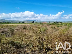 Terreno en Ginestar