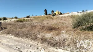 Terreny a Sanlúcar de Barrameda