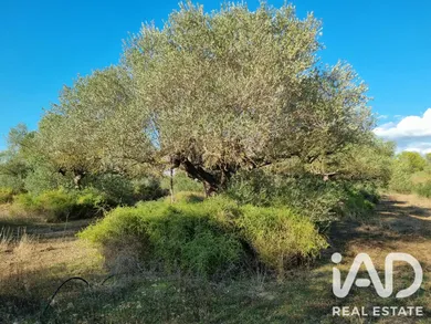 Terreno en ginestar