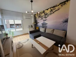 Estudio en Alicante