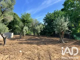 Terreno edificable en Beniarbeig