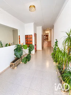 Appartement à Calasparra