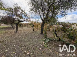 Terrain agricole à Castellanos de Moriscos