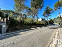 Terreny a Olivella