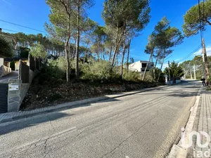 Land in Olivella