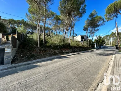 Terreny a Olivella