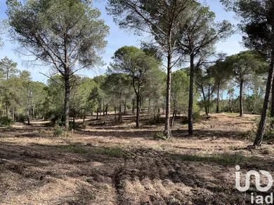 Terreny a Villablanca