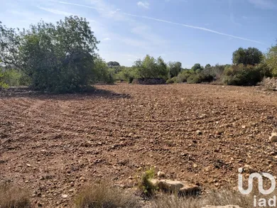 Terreny a Torredembarra