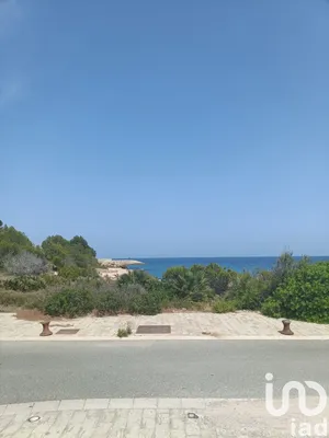 Terreny a L'Ametlla de Mar