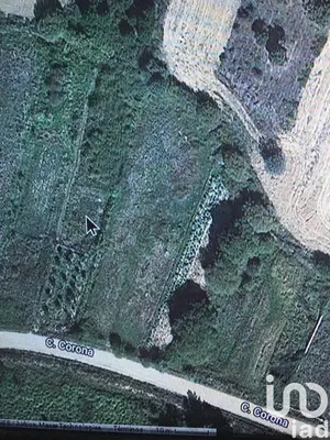 Terreny a Santibáñez de Vidriales