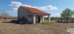 Terreny a L'Atmella de Mar