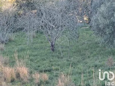 Terreno en Segur de Calafell